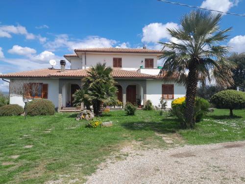 uma casa branca com uma palmeira no quintal em Fuori dal Borgo.... em Vitorchiano