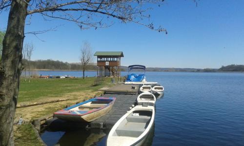 a group of boats parked at a dock on a lake at Bed&Braja in Vische