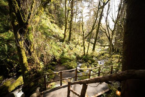 a wooden path in a forest with a creek at Taylor Creek Lodge in Gold Beach