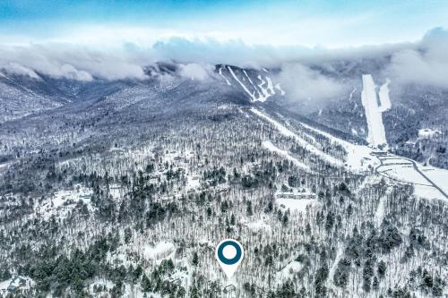 an aerial view of a snow covered mountain with trees at Mt Ellen Ski Chalet in Waitsfield