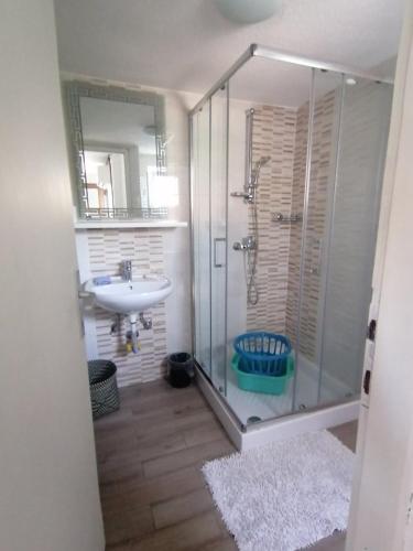 a bathroom with a glass shower and a sink at Apartments with parking space Dajla, Novigrad - 6935 in Novigrad Istria