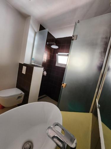 a small bathroom with a toilet and a sink at beaux duplex in Deli Ibrahim
