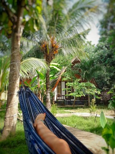 a dog laying in a hammock in front of a house at Follow The Rabbit Bungalow in Gili Air