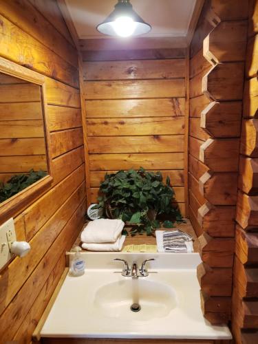 a bathroom in a log cabin with a sink at Shenandoah 1 Summer Camp in the Laurel Highlands in Champion