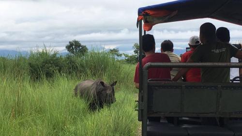 Un grupo de personas montando en un camión de safari viendo un rinoceronte en Hotel BhupuSainik Sauraha, en Sauraha