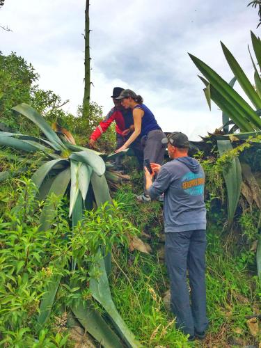 a group of people walking up a hill at Hospedaje Vertientes del Imbabura in Otavalo