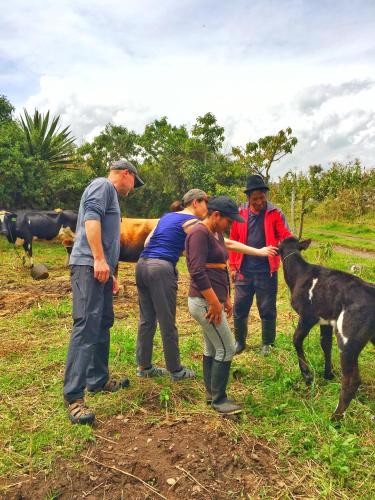 a group of people standing in a field with a dog at Hospedaje Vertientes del Imbabura in Otavalo