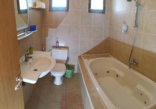 A bathroom at Aloni - Guest house Dead Sea