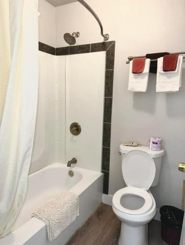 a white bathroom with a toilet and a shower at Sundown Lodge in Eureka