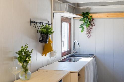 Kuchyň nebo kuchyňský kout v ubytování Delux minimaja/tiny house