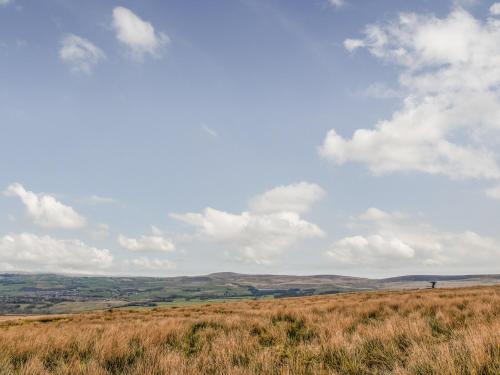 a person standing on a hill in a field at Briar Cottage in Great Eccleston