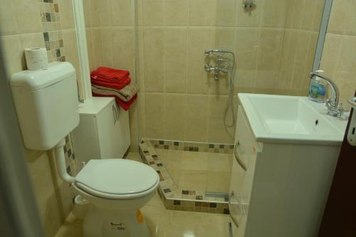 un bagno con wc, doccia e lavandino di Apartment Kapishtec a Skopje