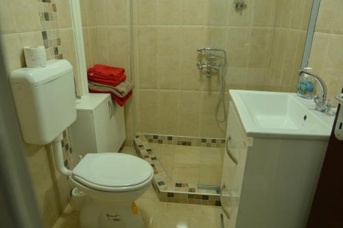 a bathroom with a toilet and a shower and a sink at Apartment Kapishtec in Skopje