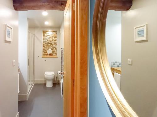 The Oak Stall - Uk11023 في East Worlington: حمام مع مرحاض ومرآة