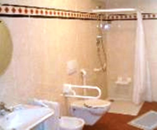 ein Bad mit einer Dusche, einem WC und einem Waschbecken in der Unterkunft Pension Angergut in Tscherms