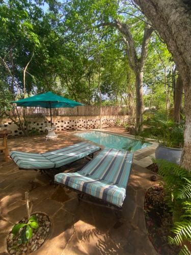Κήπος έξω από το The Shore House Diani - 2 Bedroom Villa with a pool