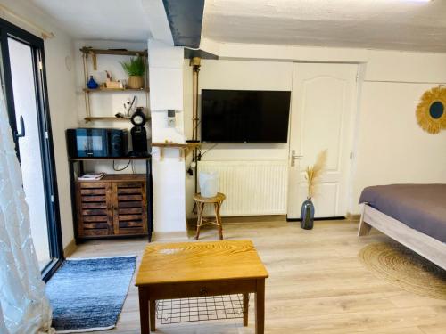 uma sala de estar com uma cama e uma televisão de ecrã plano em Jolie chambre indépendante em Limoges