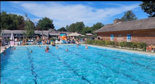 a group of people in a large swimming pool at Chalet Panorama near Efteling - with garden and swimmingpool Europarcs in Kaatsheuvel