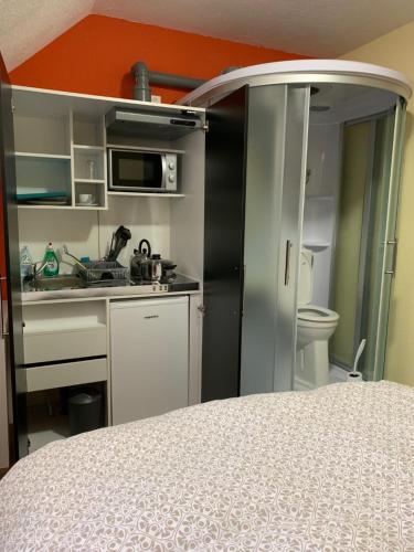 a small kitchen with a sink and a refrigerator at STUDIOS à louer in Courrendlin