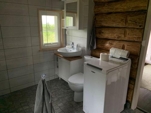 a bathroom with a white toilet and a sink at Private sauna house with sea view in Liigalaskma