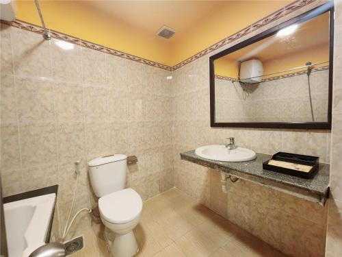a bathroom with a toilet and a sink and a mirror at iHome Hoi An in Hoi An