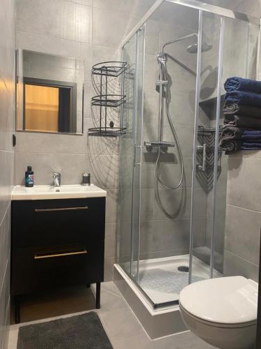 a bathroom with a shower and a toilet and a sink at Diament Apartment in Krynica Zdrój