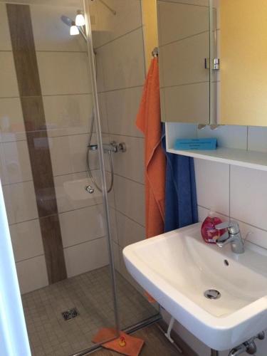 a bathroom with a shower and a sink at Ferienhaus Brise - Schmugglerhus in Wieck
