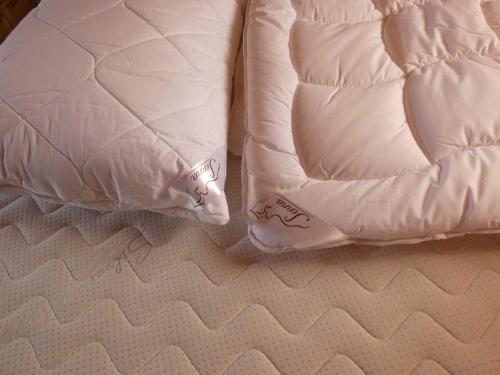 a bed with two pillows and a cat on it at Naturstammhaus Tollensesee in Krickow