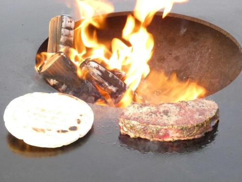 a grill with a piece of meat on fire at Naturstammhaus Tollensesee in Krickow