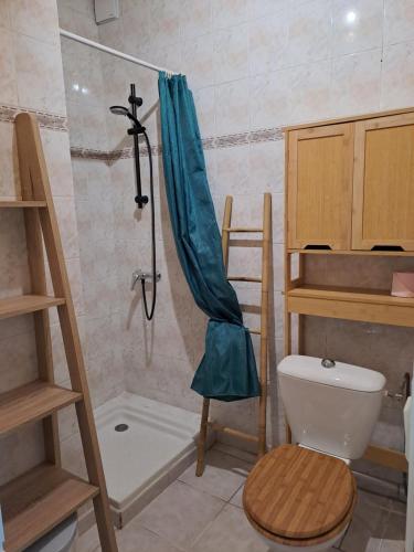 La salle de bains est pourvue d'une douche, de toilettes et d'un rideau de douche. dans l'établissement Gîte "LE LAURUS" aux Magnolias, à Aubenas