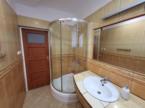 a bathroom with a sink and a shower and a toilet at Apartament Julia Łeba Kwiatowa in Łeba