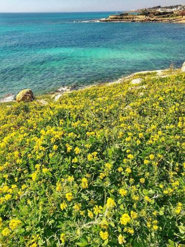 Casa a due passi dal mare Salento – Photos 2