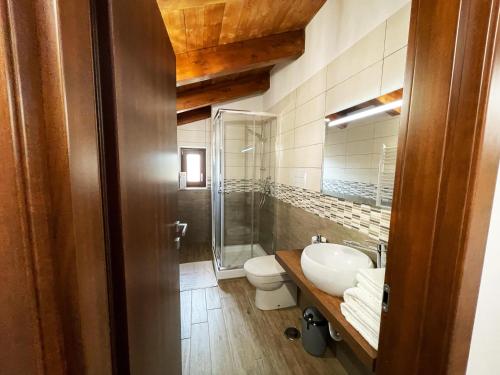 y baño con lavabo, aseo y ducha. en Tenuta Morrone, en Pertosa