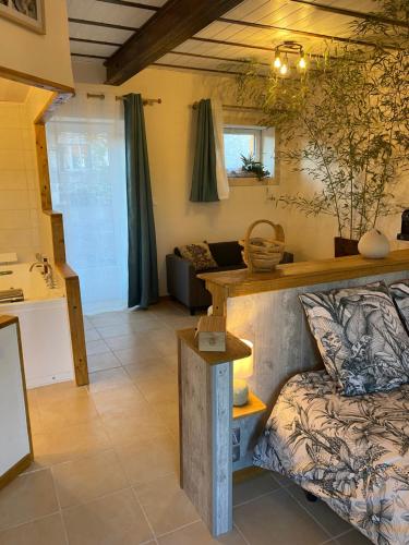 Χώρος καθιστικού στο L'Anagramme, chambres, table d'hôtes et gîte pour adultes, naturistes ou non !