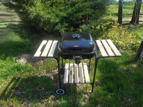 a grill sitting on a picnic table in the grass at Własny pomost, kajak, kominek, grill, hamaki ognisko Prywatny raj nad wodą, BRZÓZKI 1 in Barkowice