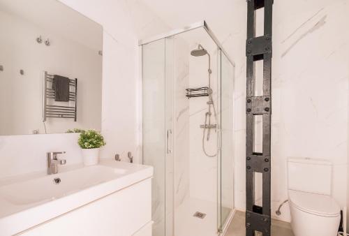 Duplex in Antón Martín B2