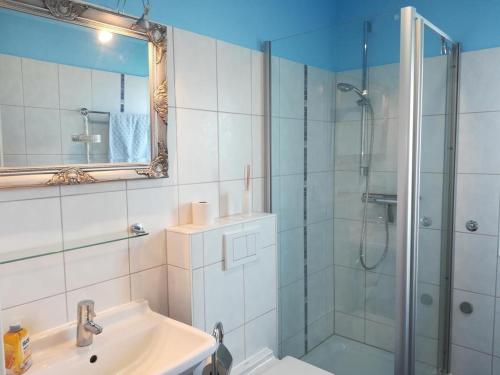ein Bad mit einer Dusche, einem Waschbecken und einem Spiegel in der Unterkunft Fewo Seelöwe Haffkrug in Haffkrug