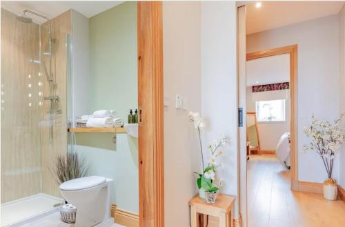 La salle de bains est pourvue de toilettes et d'une douche en verre. dans l'établissement Woodside Apartments, à St Andrews