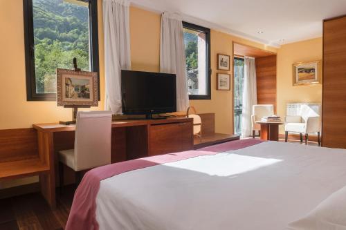 a bedroom with a bed with a television and a desk at Hotel Cardós in Ribera de Cardós