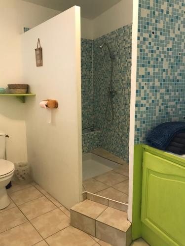een badkamer met een douche en een toilet bij la Porte bleue in Capestang