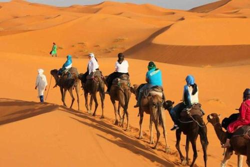 a group of people riding camels in the desert at Camp Sahara berber in Merzouga