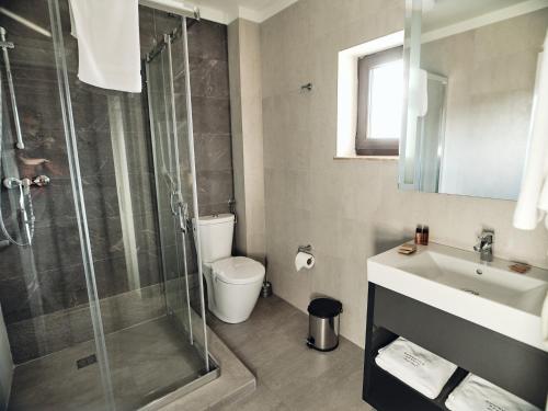 ein Bad mit einer Dusche, einem WC und einem Waschbecken in der Unterkunft Domeniile Panciu Winery & Resort in Sîrbi