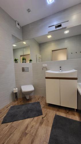 a bathroom with a sink and a toilet and a mirror at Apartament Czerwone Maki in Krakow