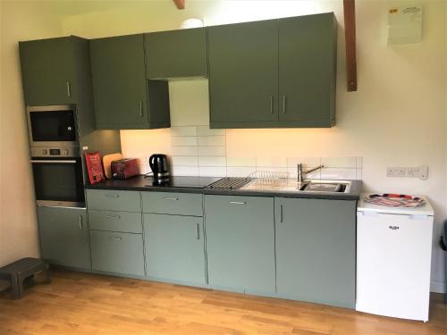 a kitchen with green cabinets and a sink and a refrigerator at Jopes Mill and Lodge in Looe