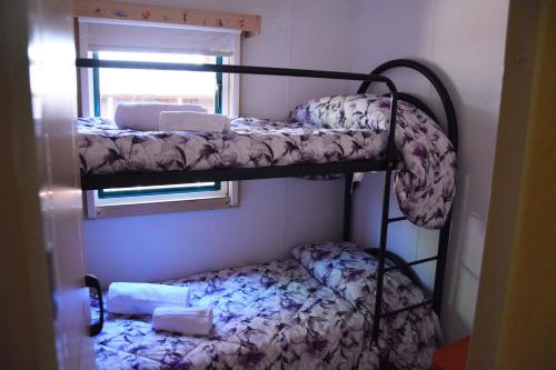 Pombia的住宿－SAFARI CAMPING，带窗户的客房内的两张双层床