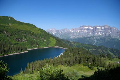 a view of a lake in the mountains at Berghotel Mettmen in Schwanden