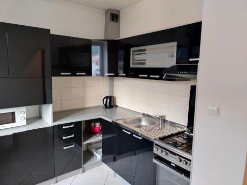 a kitchen with black cabinets and a sink at Apartament Ogrodowa in Muszyna