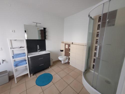 een badkamer met een douche, een wastafel en een toilet bij Monteurunterkunft Schützenhaus Leisnig in Leisnig