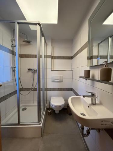 a bathroom with a shower and a toilet and a sink at Landhaus Stedtfeld in Stedtfeld