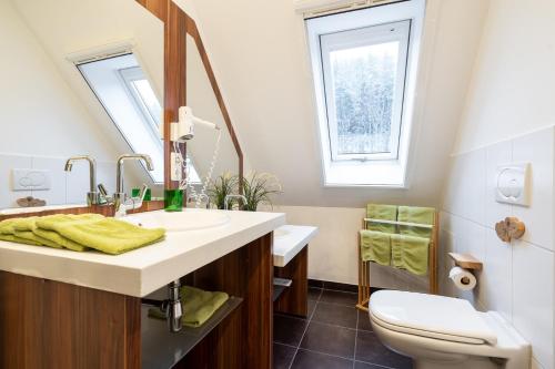 a bathroom with a sink and a toilet at Apartment Felswelten in Bielatal